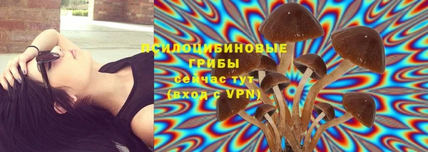 кокаин перу Белокуриха